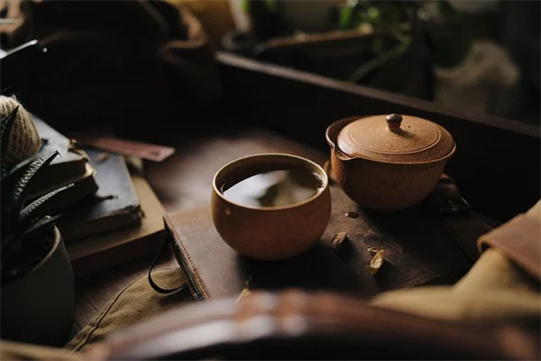 キッチンのハーブ切れ端で再生栽培！捨てずに育てる実践ガイド