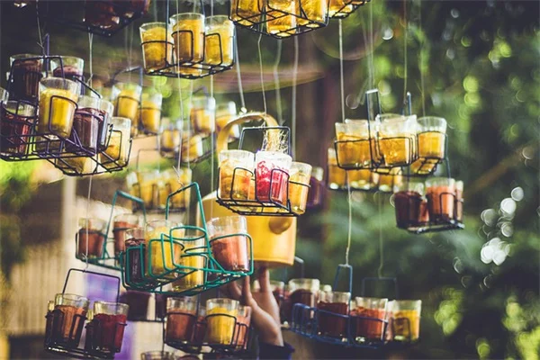 ミツバチの溺水を防ぐ！Bee Cupsで簡単に作る安全な水場